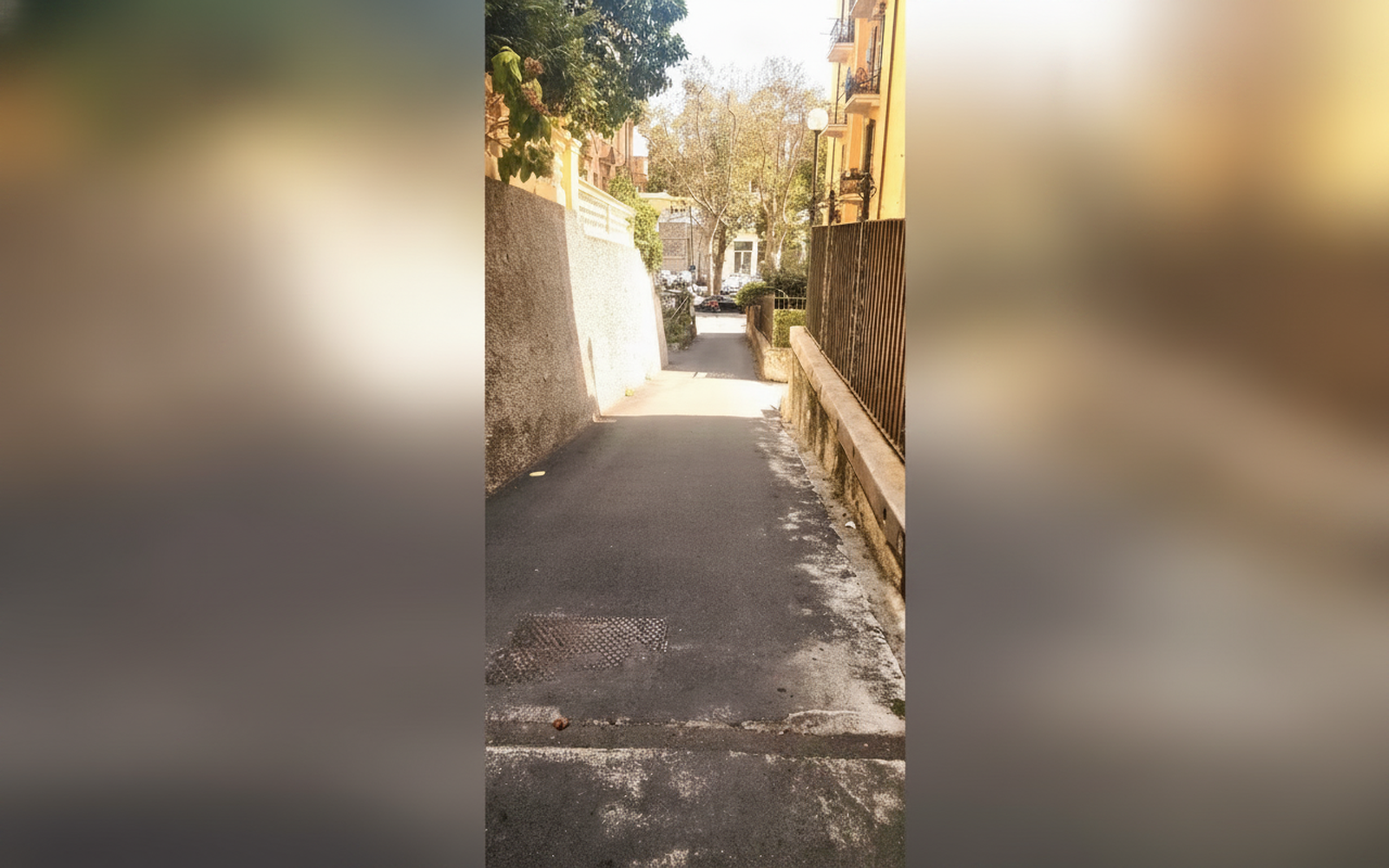 Il pesco di Sofia, Genova (Liguria)