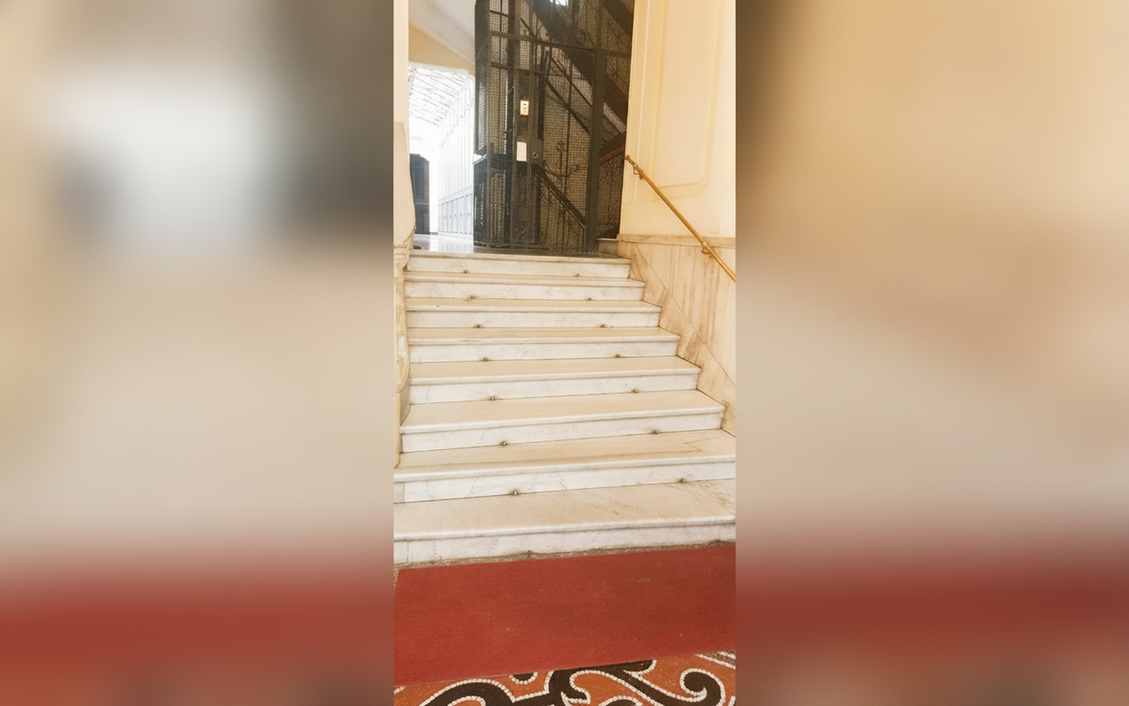 Il pesco di Sofia, Genova (Liguria)